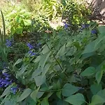بيت للعطل Maison Mon Reve لو فيغان