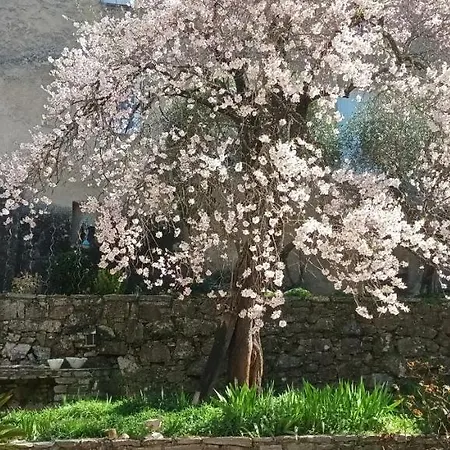 Maison Mon Reve