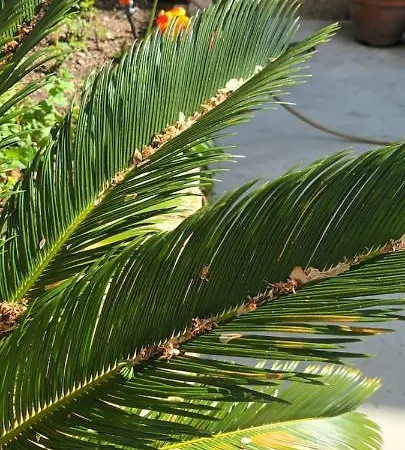 Maison Mon Reve Dom wakacyjny