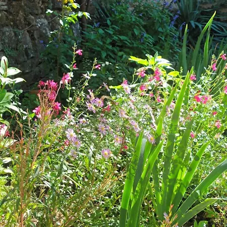 Maison Mon Reve * Le Vigan (Gard)